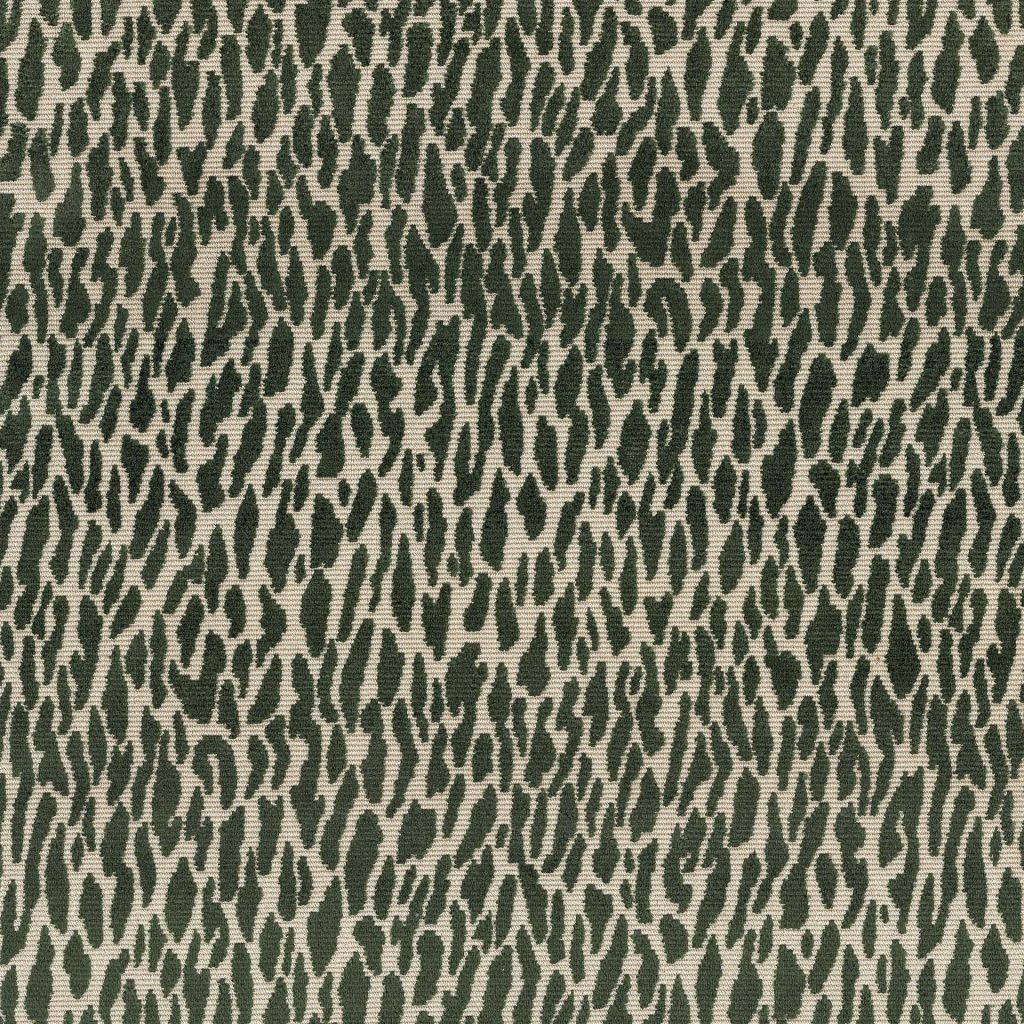 Wild Thing â Evergreen
