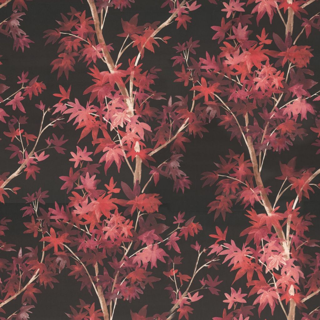 Forestridge â Coral