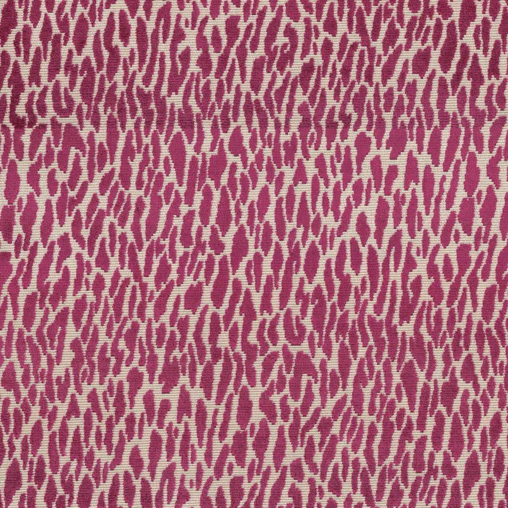 Wild Thing – Fuchsia