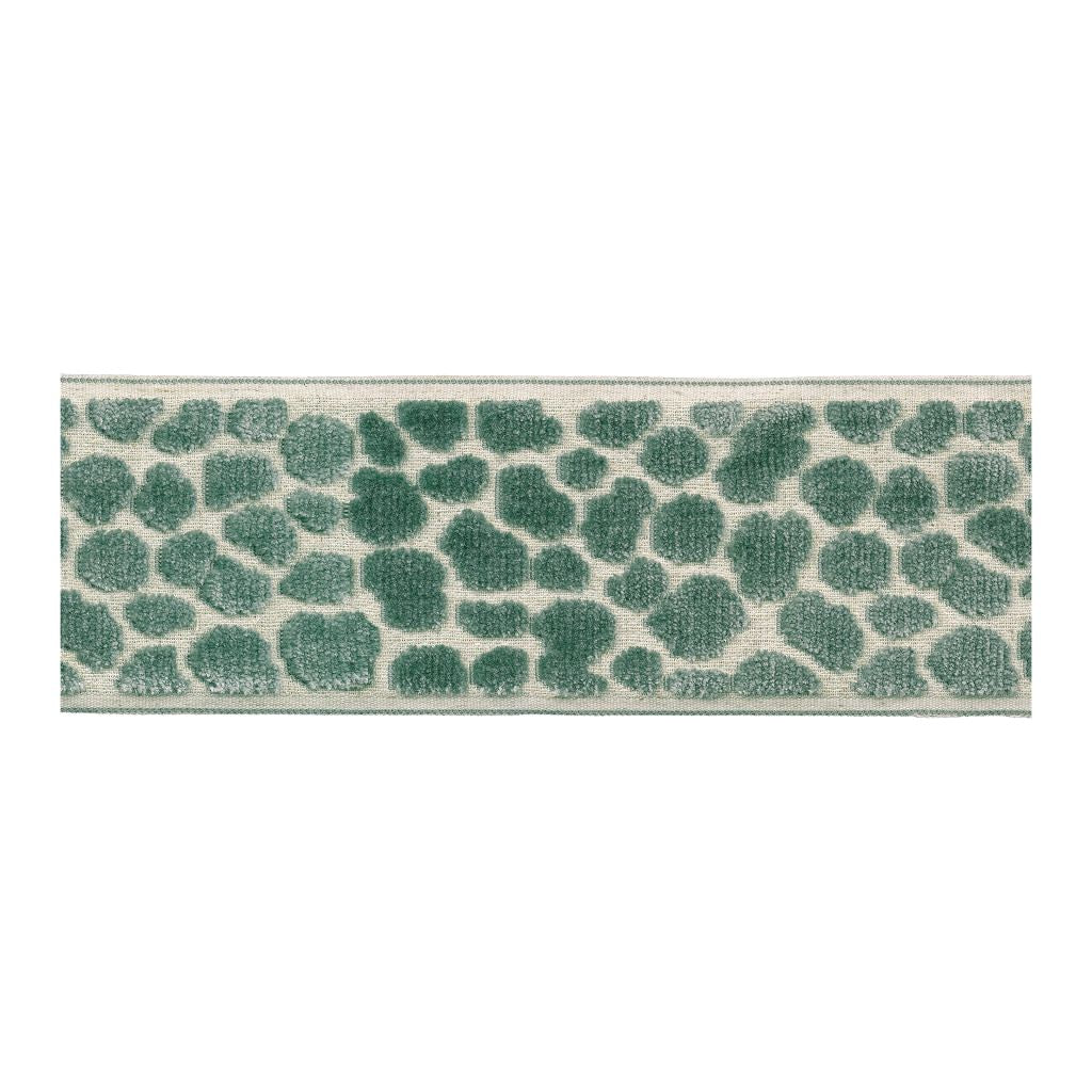 BD135 Border 3.5" â Aquamarine
