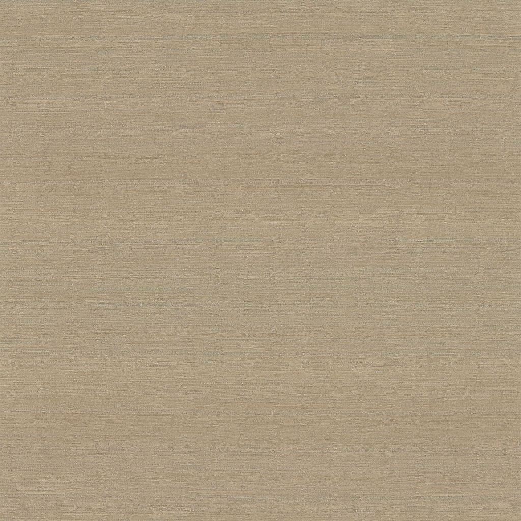 Belgique – Driftwood