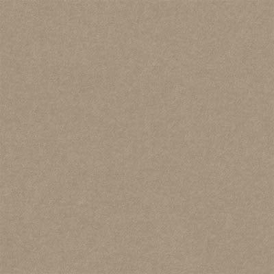 brinzio-sand-designers-guild-fdg3231-07