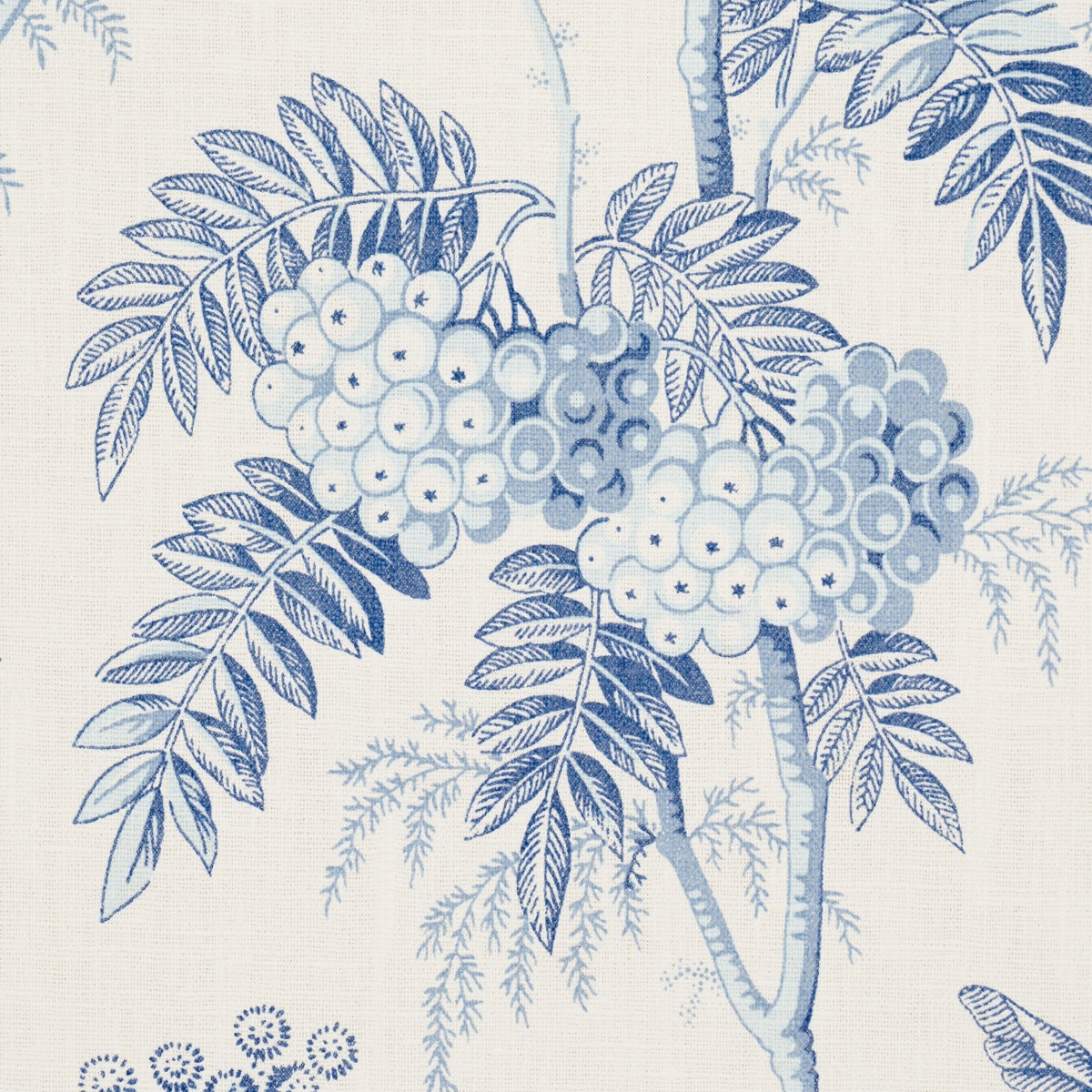 BRANTWOOD-VINE-PORCELAIN-SCHUMACHER-174113 - Schumacher Tela