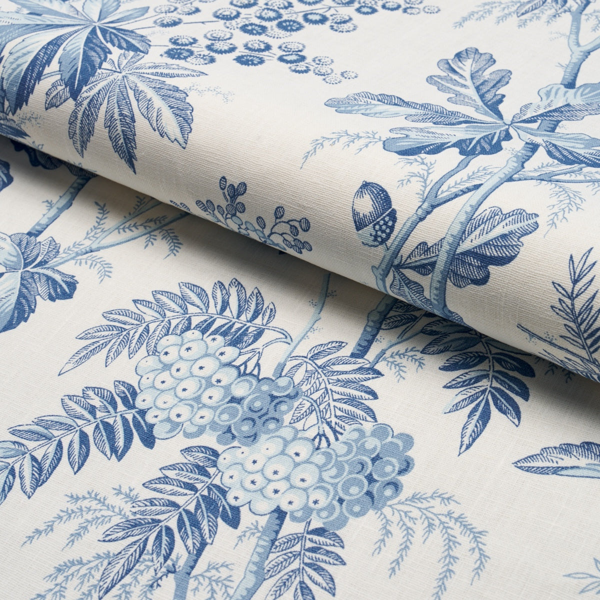 BRANTWOOD-VINE-PORCELAIN-SCHUMACHER-174113 - Schumacher Tela