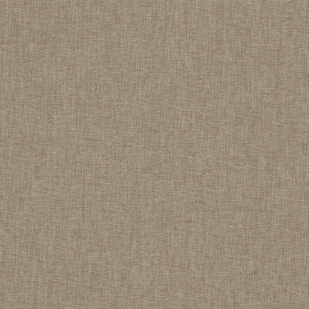 Bimini – Driftwood