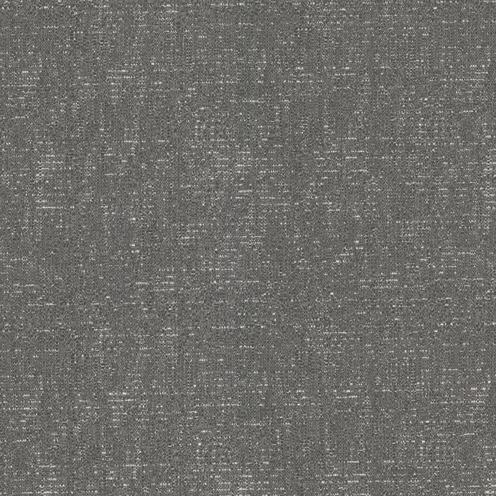 Polynesia – Dolphin