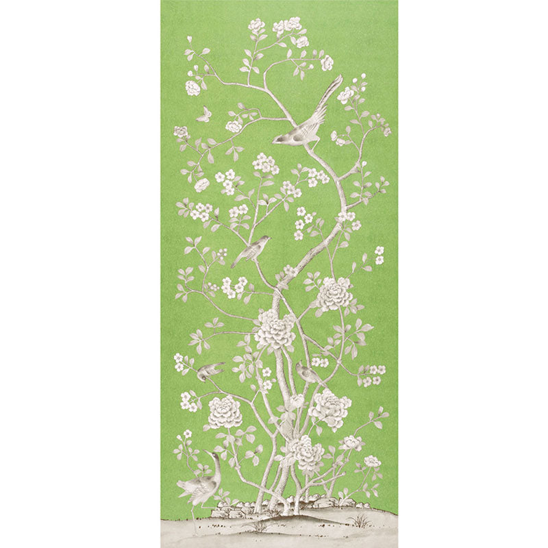 CHINOIS-PALAIS-LETTUCE-SCHUMACHER-175040