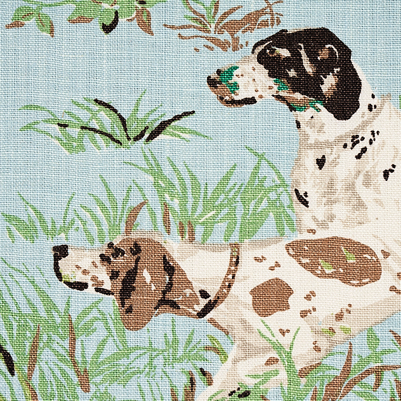 POINTERS-SKY-SCHUMACHER-175161 - Schumacher Tela