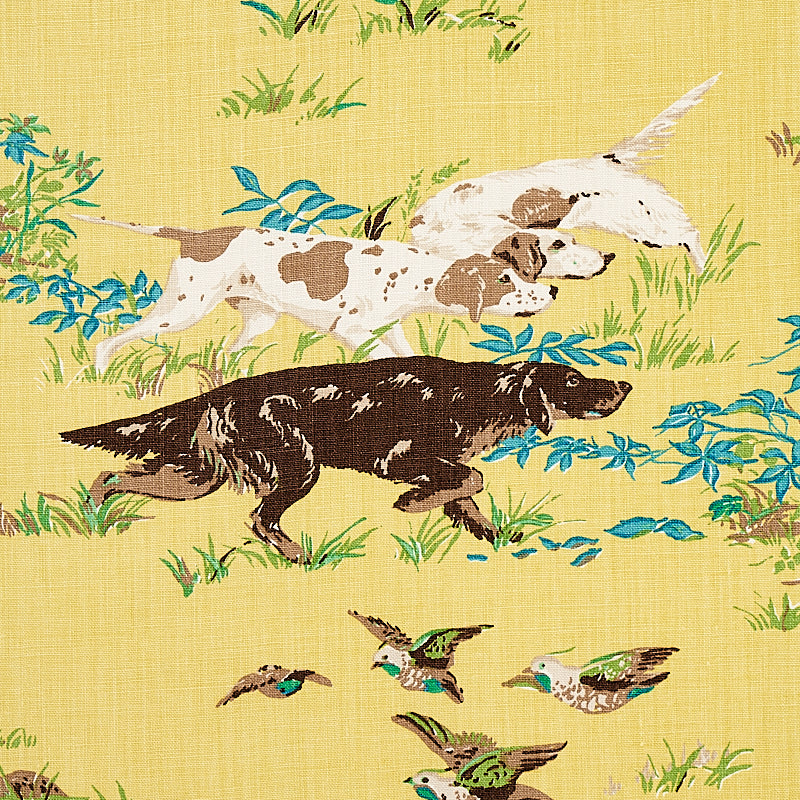 POINTERS-YELLOW-SCHUMACHER-175162 - Schumacher Fabric