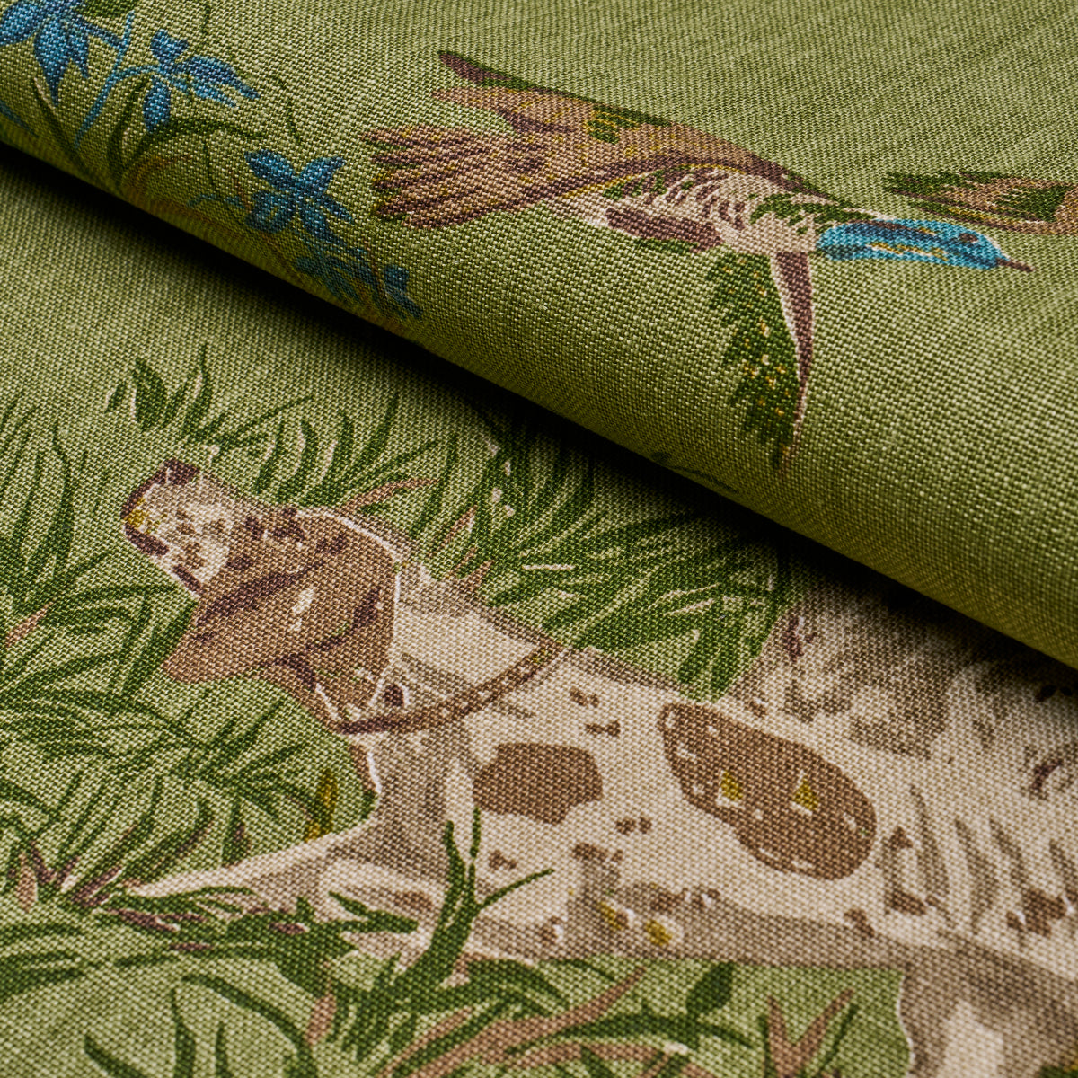 POINTERS-MEADOW-SCHUMACHER-175164 - Schumacher Tela