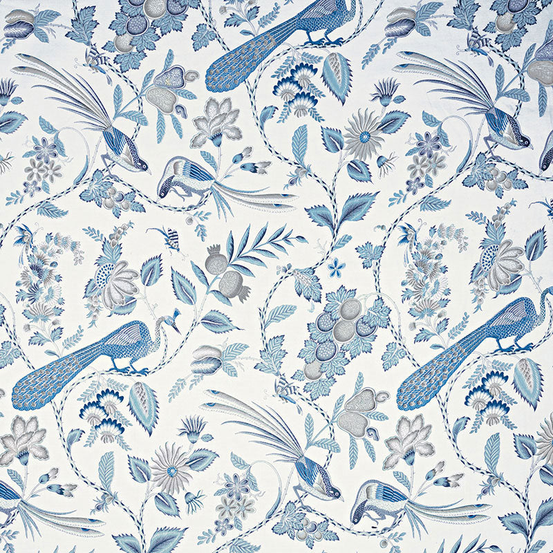 CAMPAGNE-BLEU-GRIS-SCHUMACHER-175952