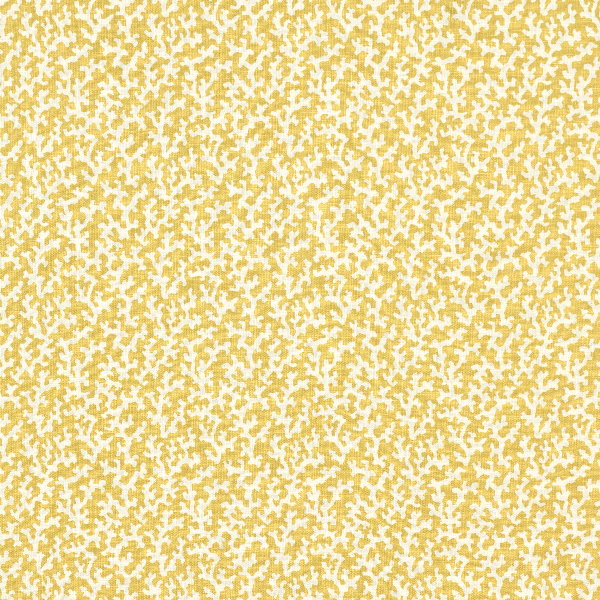 FOLLY-MIMOSA-SCHUMACHER-176128 - Schumacher Fabric