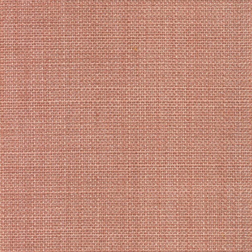 Saint Tropez – Conch