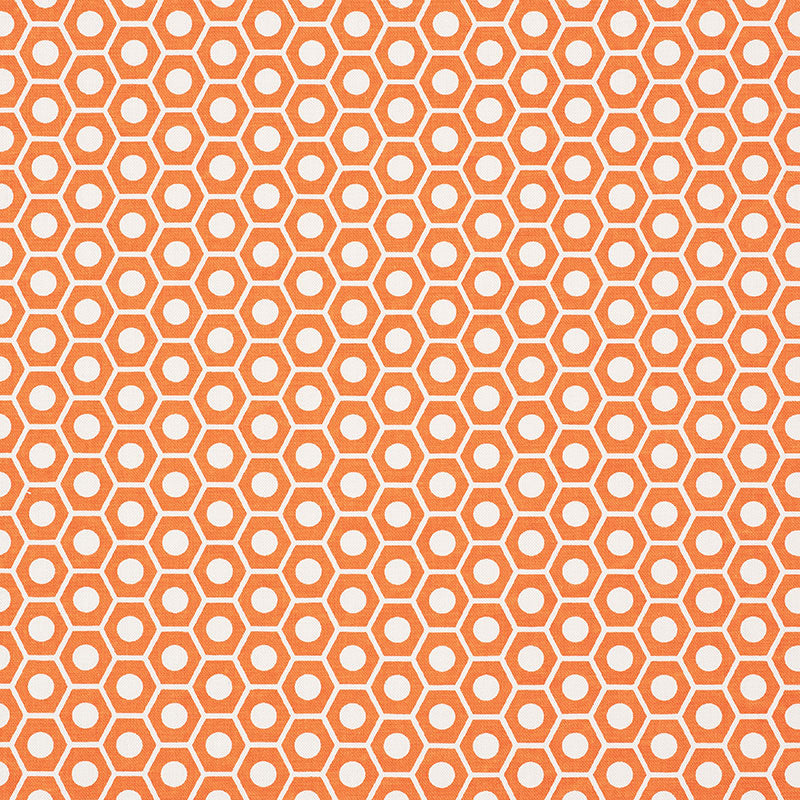 QUEEN-B-ORANGE-SCHUMACHER-177073