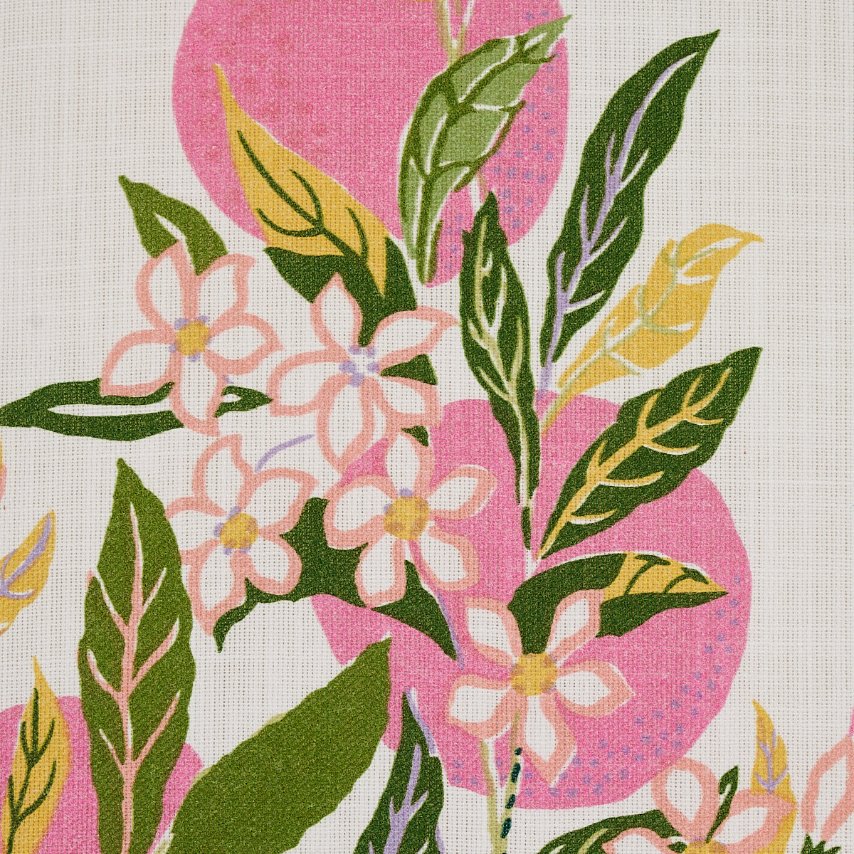 CITRUS-GARDEN-INDOOR-OUTDOOR-GARDEN-SCHUMACHER-177333