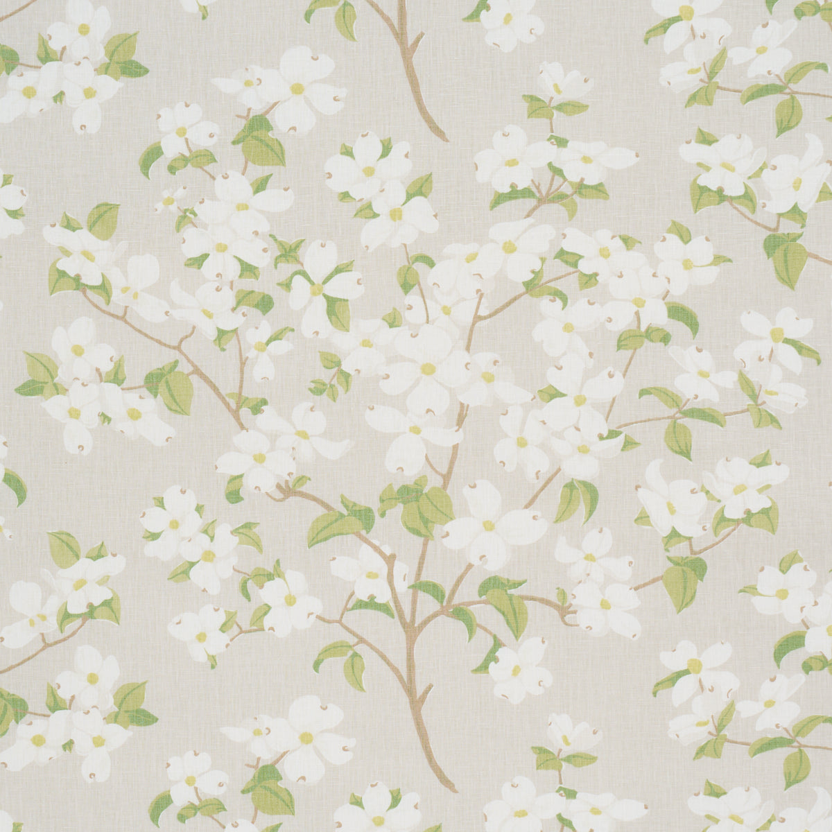 BLOOMING-BRANCH-DOVE-SCHUMACHER-177414 - Schumacher Tela