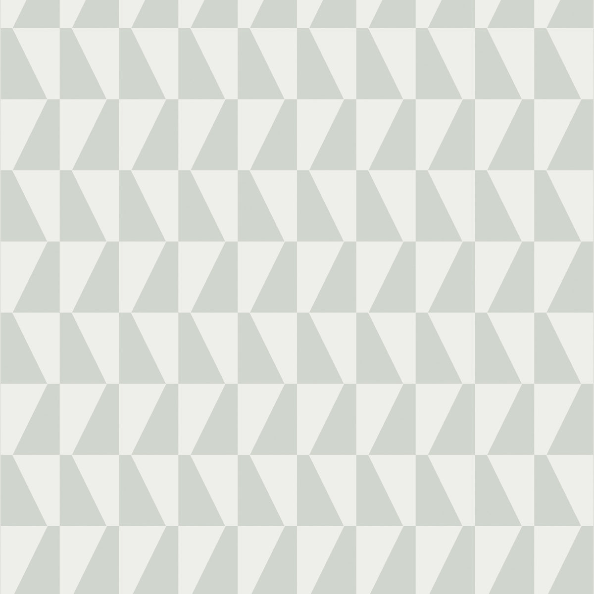 TRAPEZ-SAGE-SCHUMACHER-1779