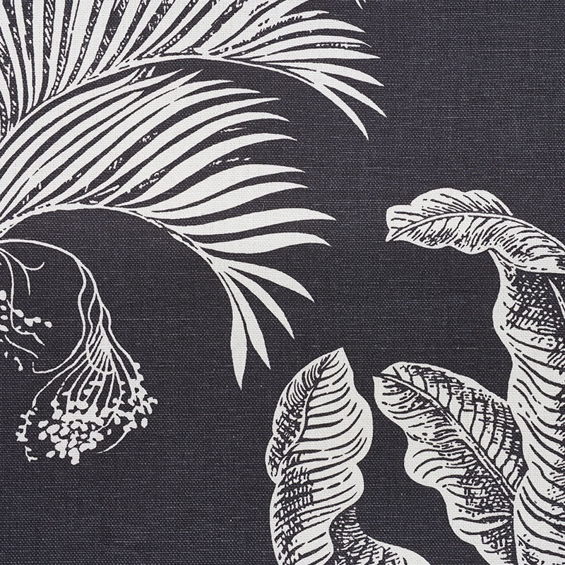 GRAND-PALMS-CARBON-SCHUMACHER-178003