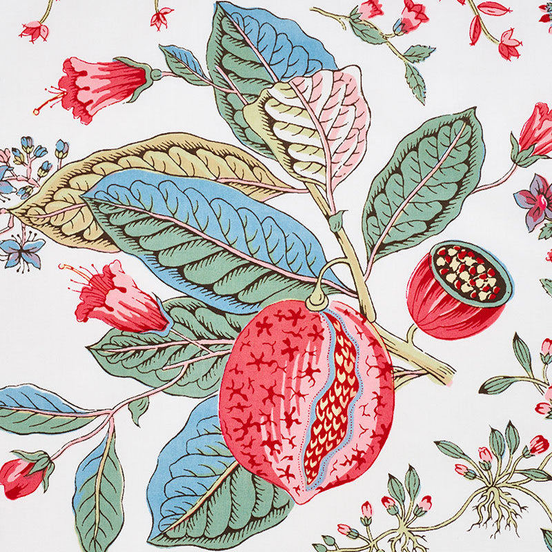 POMEGRANATE-BOTANICAL-DOCUMENT-SCHUMACHER-178121