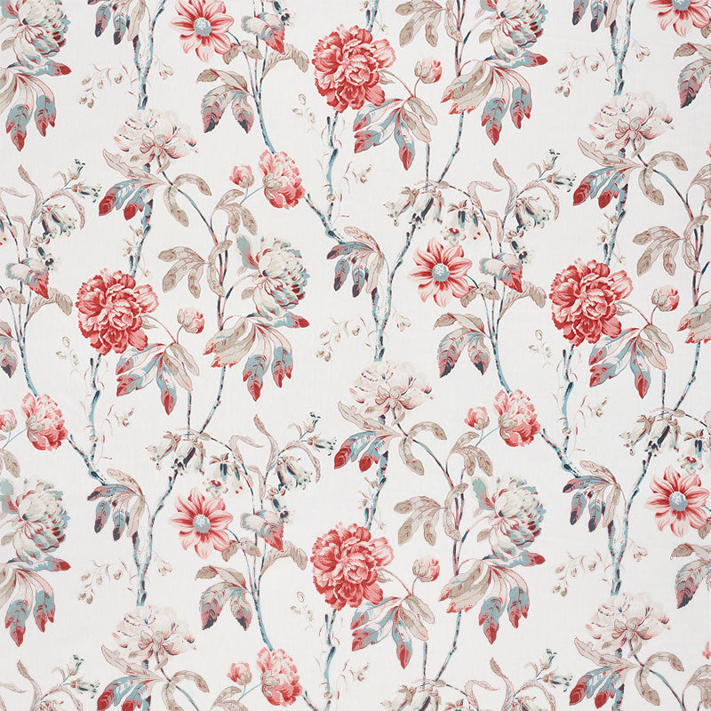 DAYDREAM-ROSE-SCHUMACHER-178141