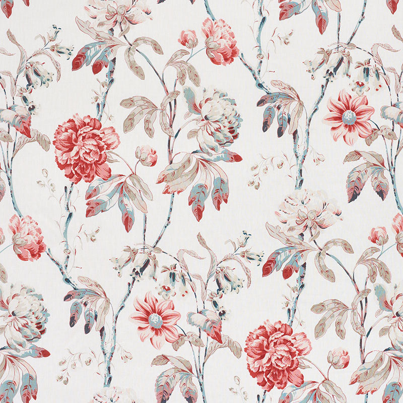 DAYDREAM-ROSE-SCHUMACHER-178141