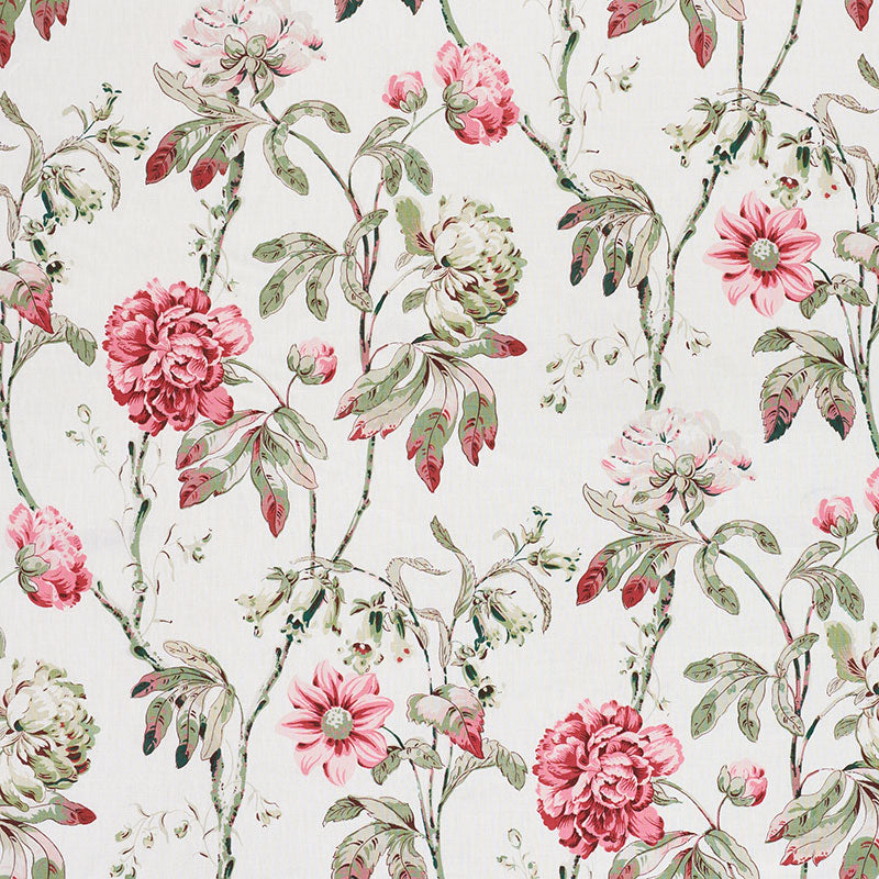 DAYDREAM-FUCHSIA-SCHUMACHER-178142