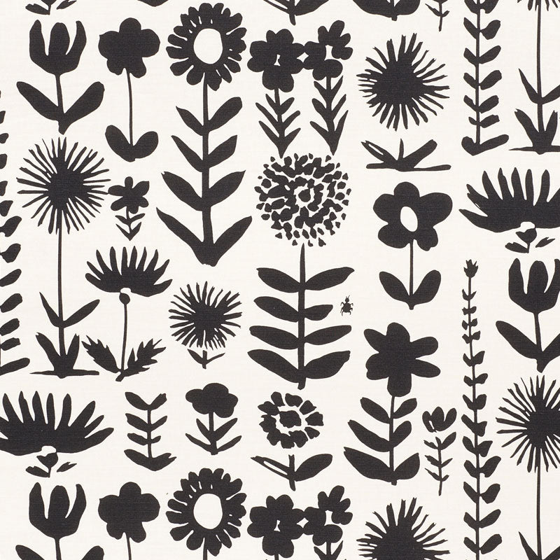 WILD-THINGS-BLACK-SCHUMACHER-178250