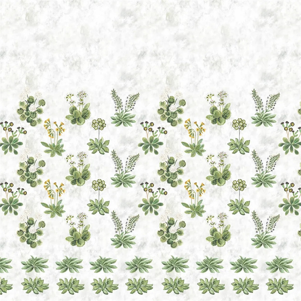 Primevère Sage Wallpaper