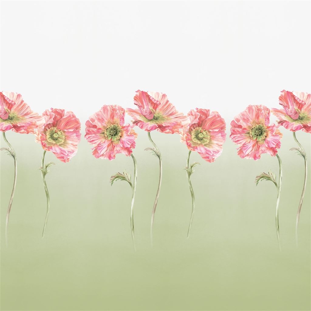 coquelicot-sage-designers-guild-pdg1210-02