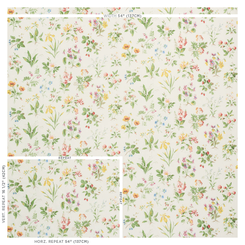 FLOREANA-BERRY-SCHUMACHER-178791