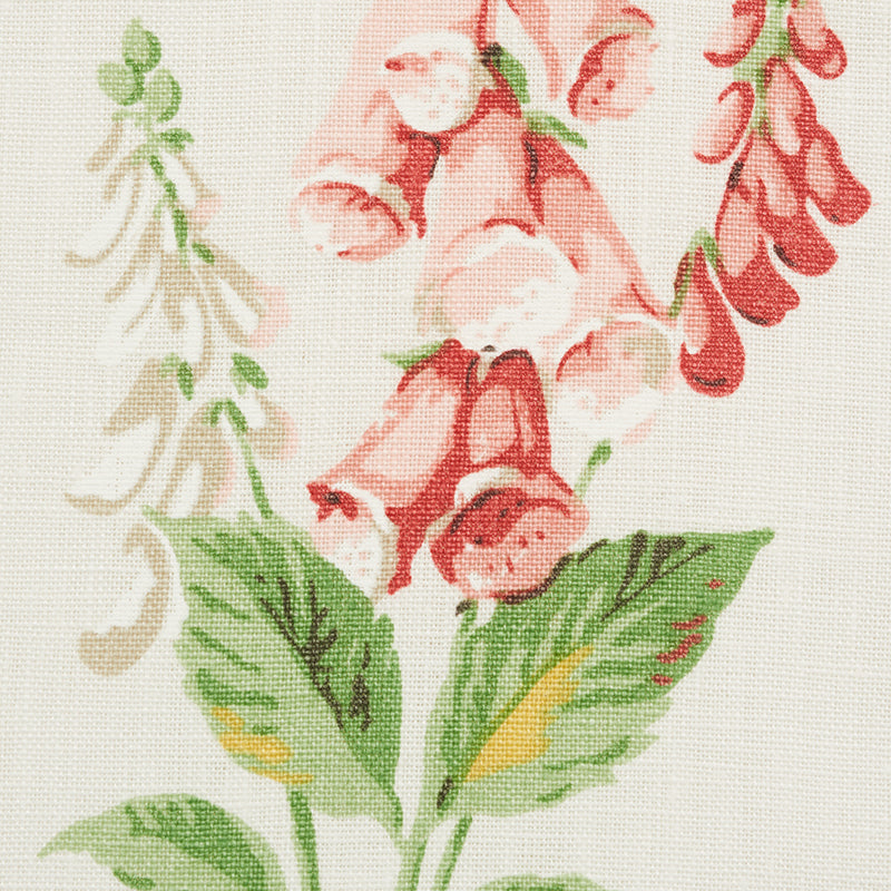 FLOREANA-BERRY-SCHUMACHER-178791
