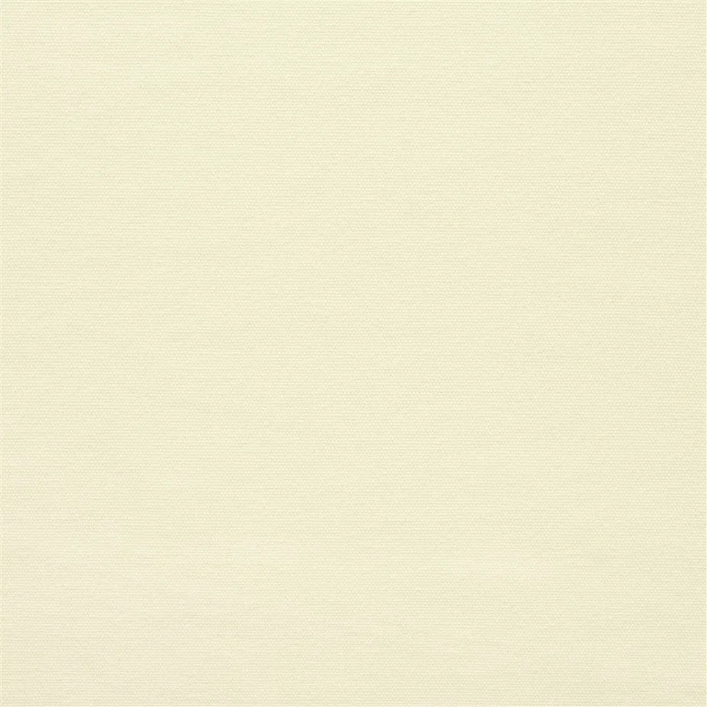 Canvas Cream in Cream