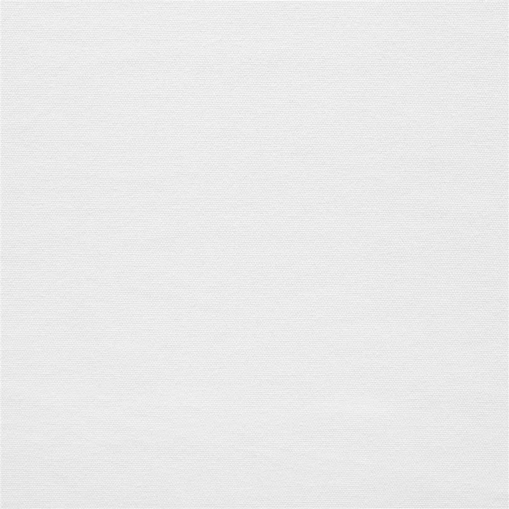 Canvas Ivory in Ivory