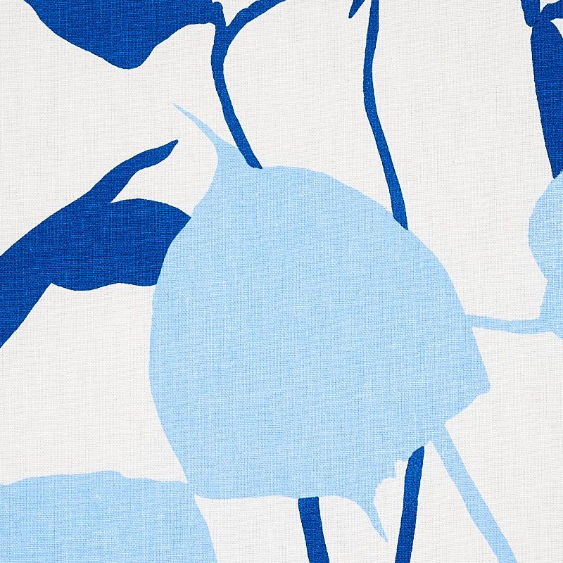 JOAN-BLUE-SCHUMACHER-178852