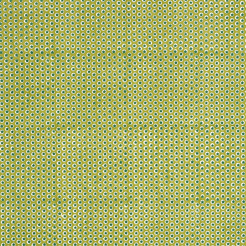 TUK-TUK-HAND-BLOCK-PRINT-GREEN-SCHUMACHER-179223