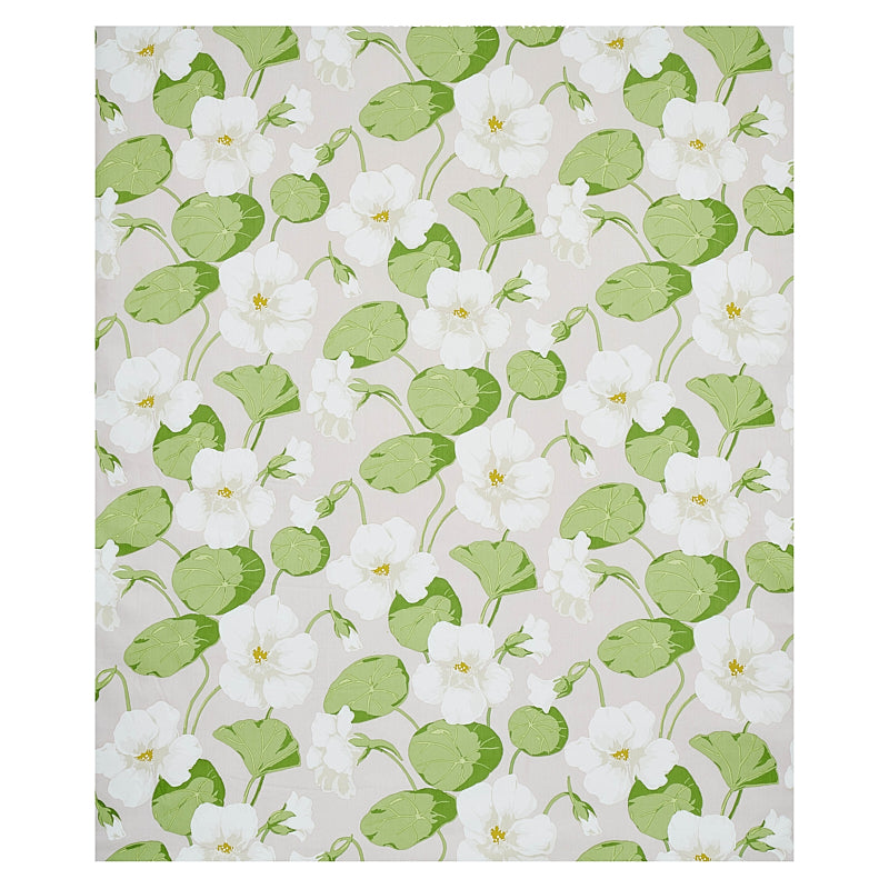 NASTURTIUM-SKY-SCHUMACHER-179491