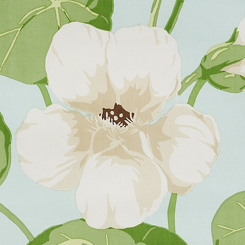 NASTURTIUM-SKY-SCHUMACHER-179491