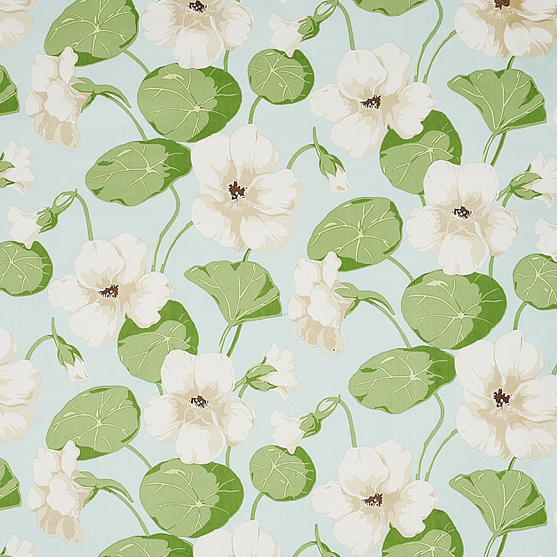 NASTURTIUM-SKY-SCHUMACHER-179491