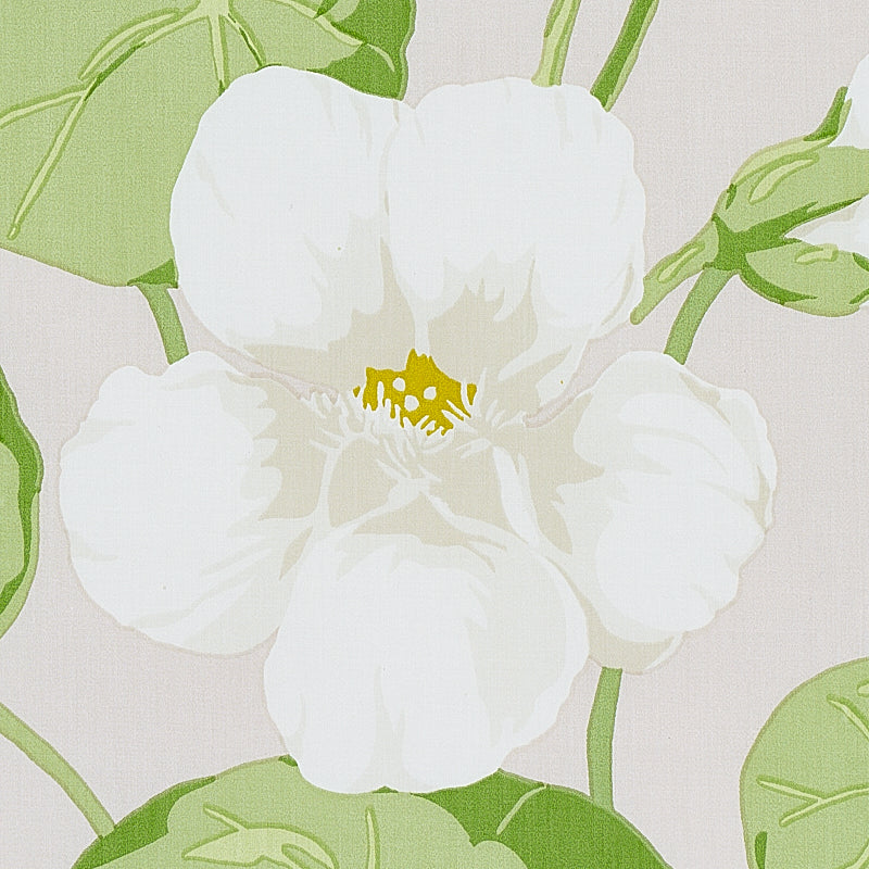 NASTURTIUM-STONE-SCHUMACHER-179492