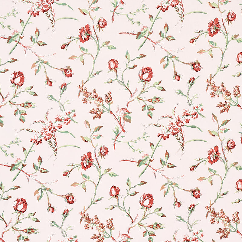 BELUZE-BLUSH-SCHUMACHER-179621