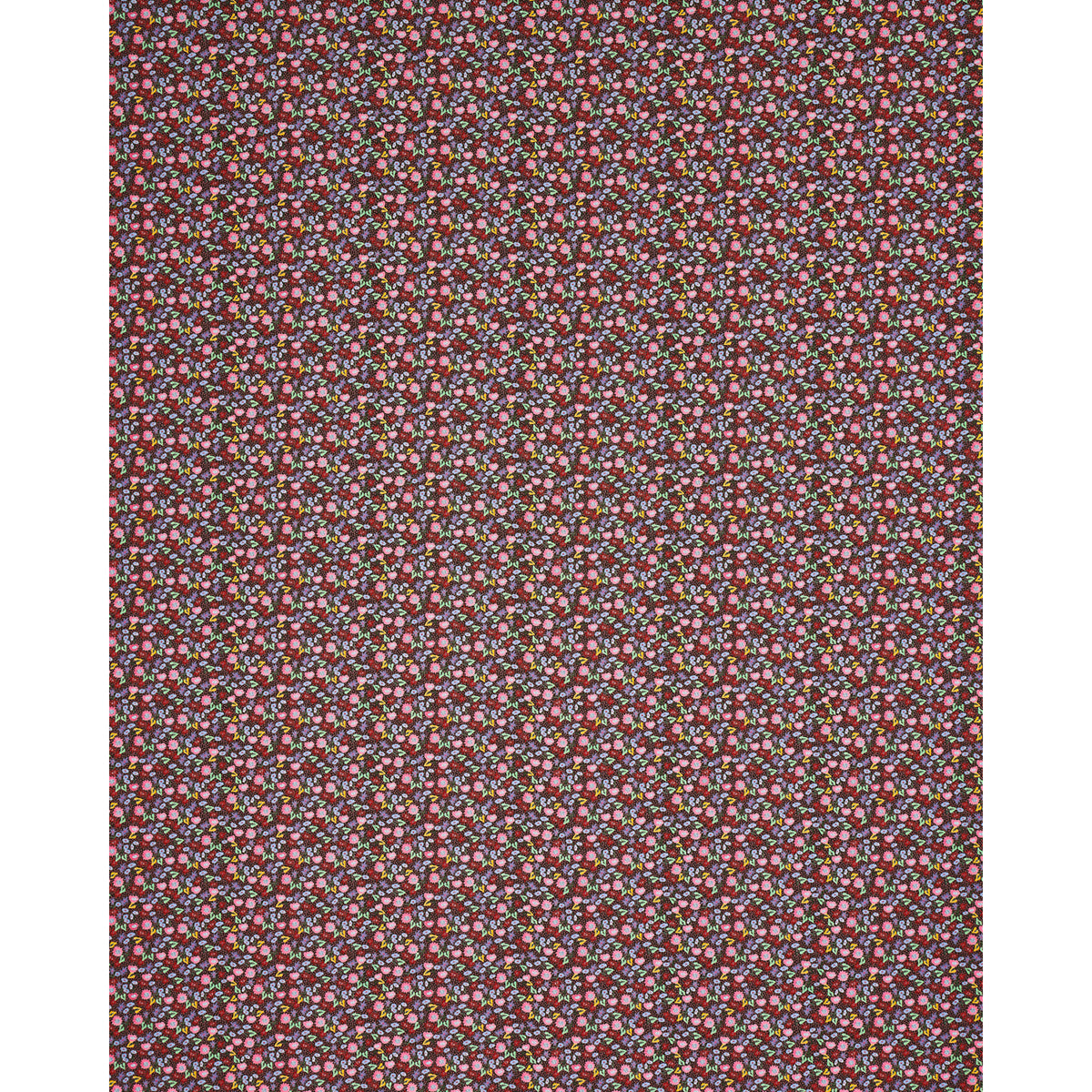 CALICO-MULTI-ON-BROWN-SCHUMACHER-180171