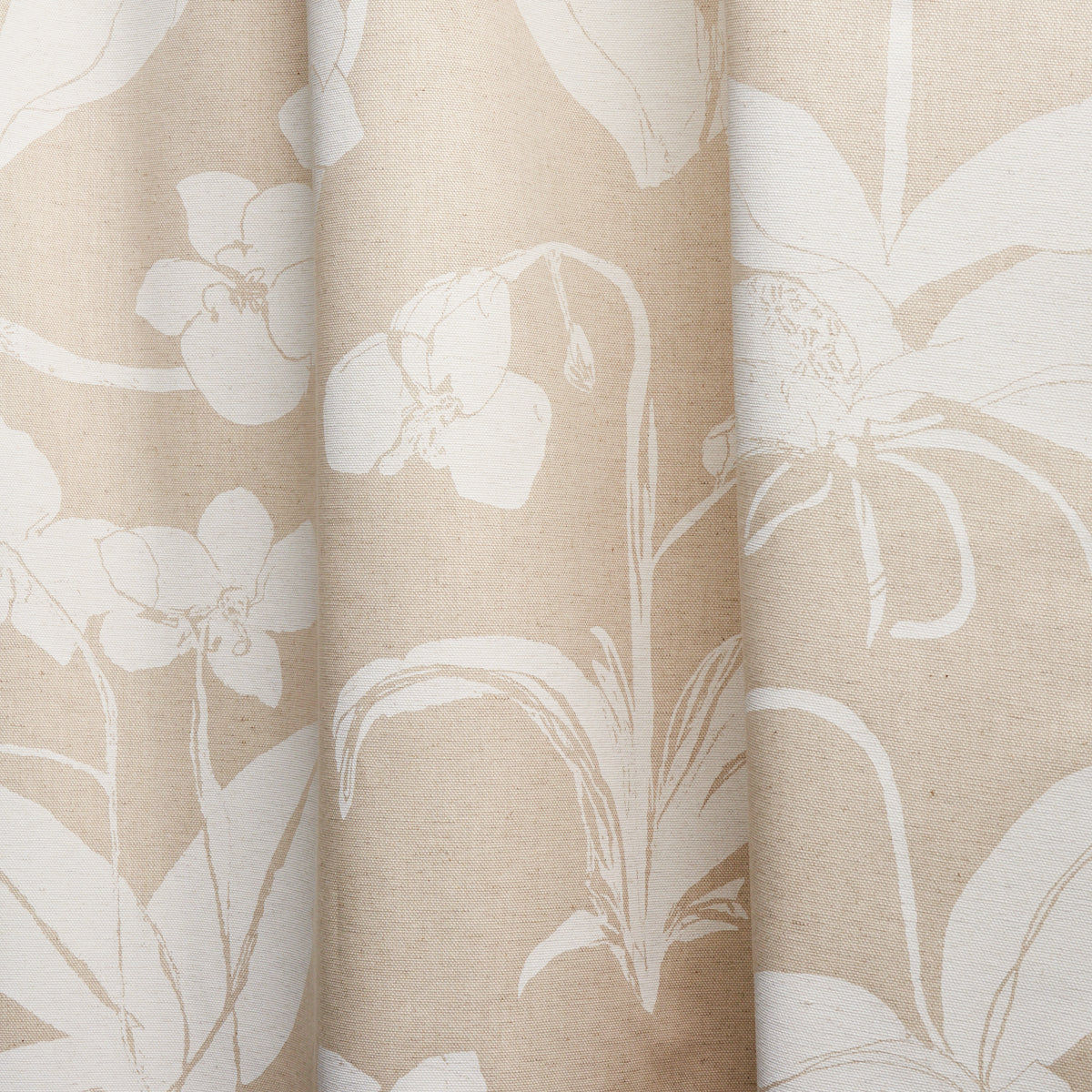 ORCHIDS-HAVE-DREAMS-LIGHT-NEUTRAL-SCHUMACHER-180511