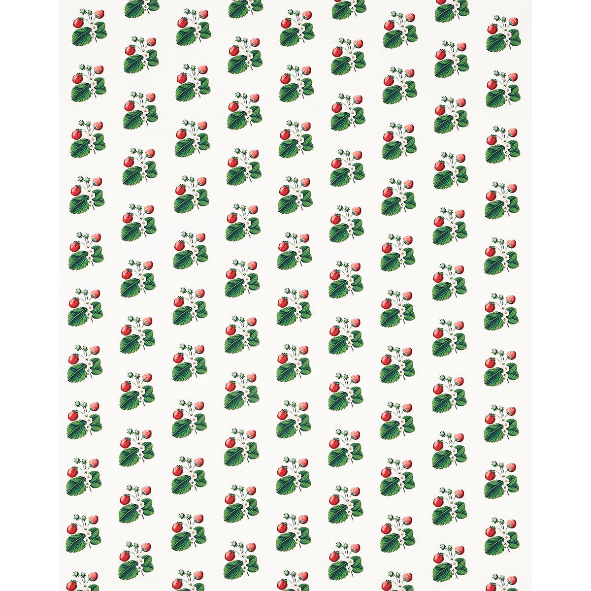 STRAWBERRY-HILL-WHITE-SCHUMACHER-180640 - Schumacher Fabric