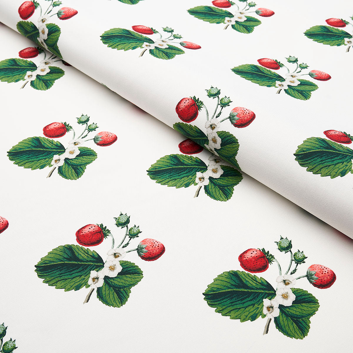 STRAWBERRY-HILL-WHITE-SCHUMACHER-180640 - Schumacher Fabric