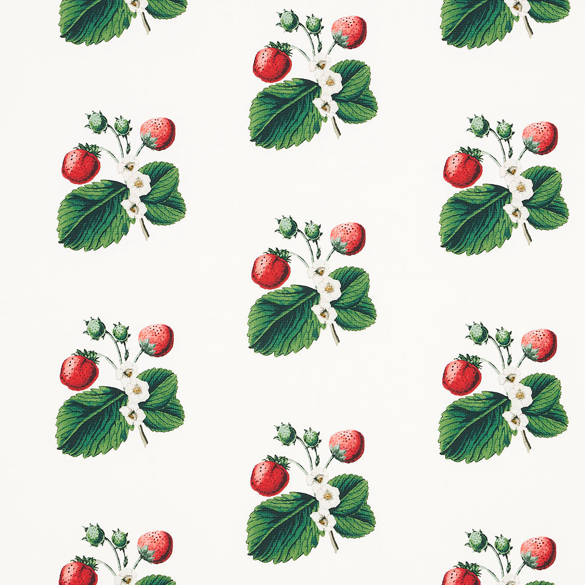 STRAWBERRY-HILL-WHITE-SCHUMACHER-180640 - Schumacher Fabric