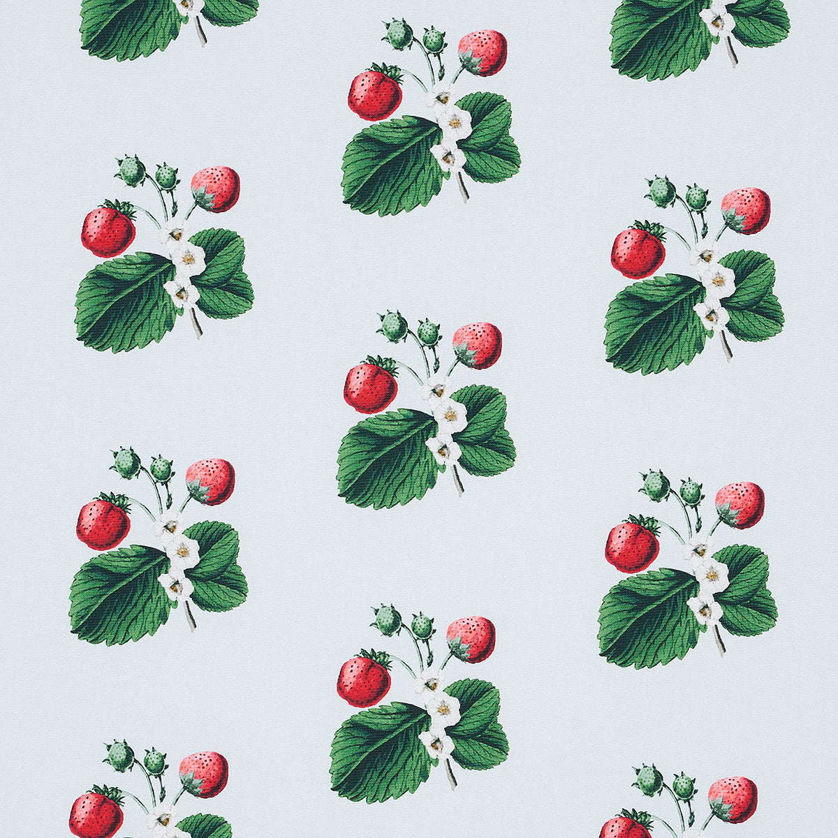 STRAWBERRY-HILL-SKY-SCHUMACHER-180641 - Schumacher Fabric
