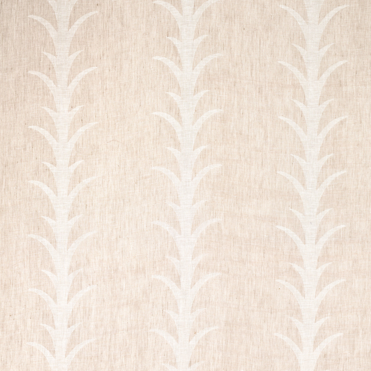 Acanthus Stripe Sheer - Taupe - Schumacher 180800 Fabric - Schumacher Fabric