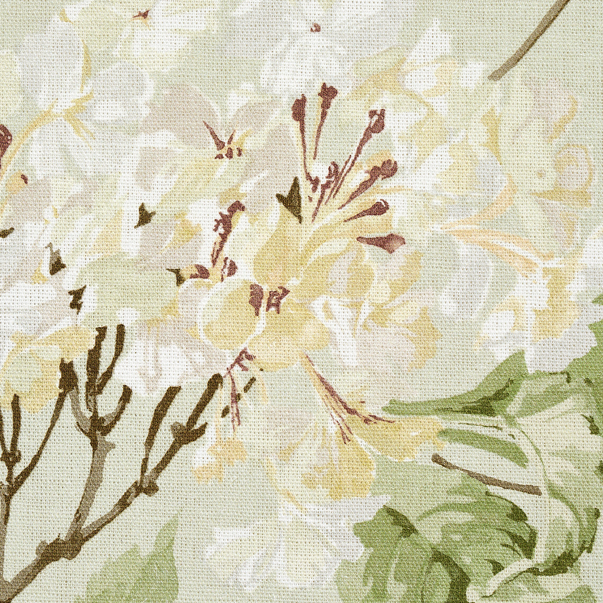 SUMMER-HYDRANGEA-CELADON-SCHUMACHER-180820 - Schumacher Fabric