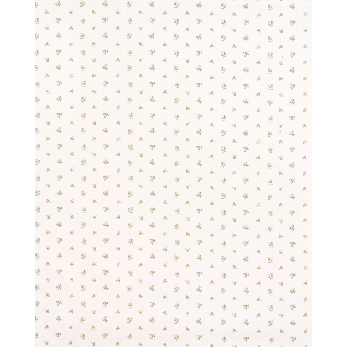 MARGIE-FLORAL-GRIS-SCHUMACHER-180842 - Schumacher Fabric