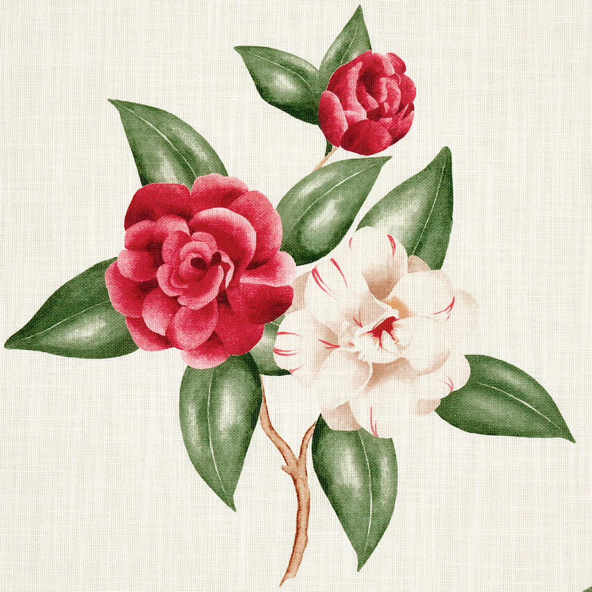 CASABLANCA-FLORAL-INDOOR-OUTDOOR-GARNET-SCHUMACHER-180910 - Schumacher Fabric